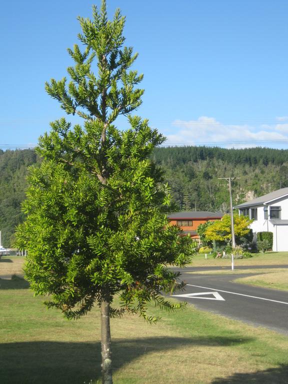 Addsbury House Apartment Whangamata Bagian luar foto